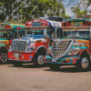 Chicken Buses Diamond Painting