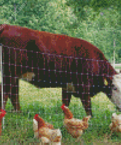 Cow And Chickens Diamond Painting