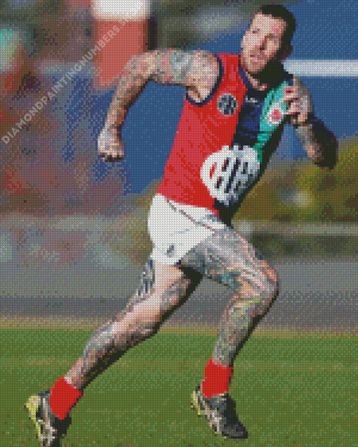 Dane Swan Diamond Painting