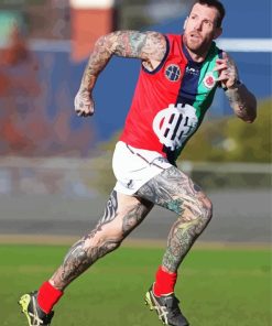 Dane Swan Diamond Painting