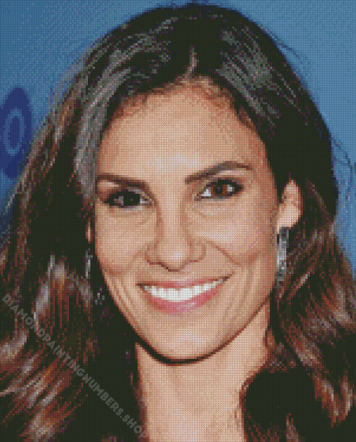 Daniela Ruah Actress Diamond Painting