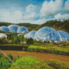 Eden Project Diamond Painting