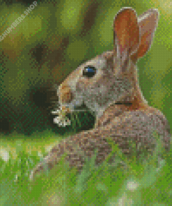 European Rabbit Back Diamond Painting