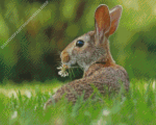 European Rabbit Back Diamond Painting