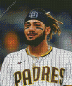 Fernando Gabriel Tatis Jr Diamond Painting