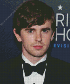 Freddie Highmore Celebrity Diamond Painting