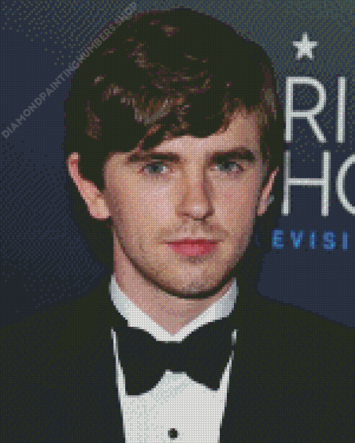 Freddie Highmore Celebrity Diamond Painting