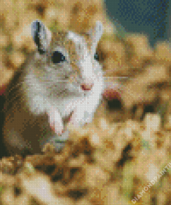 Gerbil Diamond Painting