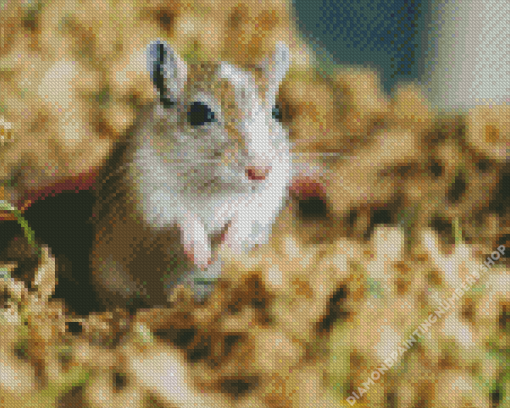 Gerbil Diamond Painting