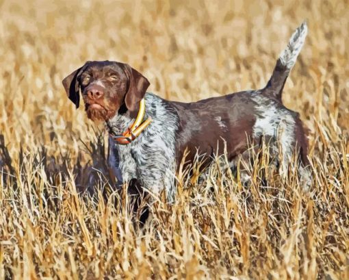 German Wirehaired Diamond Painting