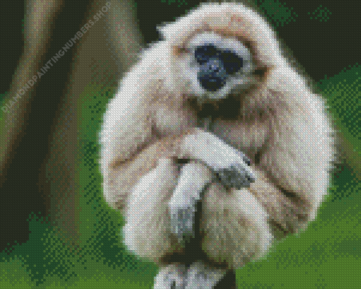 Gibbon Monkey Diamond Painting