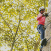 Girl Climbing Tree Diamond-Painting