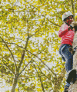 Girl Climbing Tree Diamond-Painting