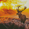 Highland Stag With Sunset Diamond Painting