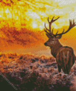 Highland Stag With Sunset Diamond Painting