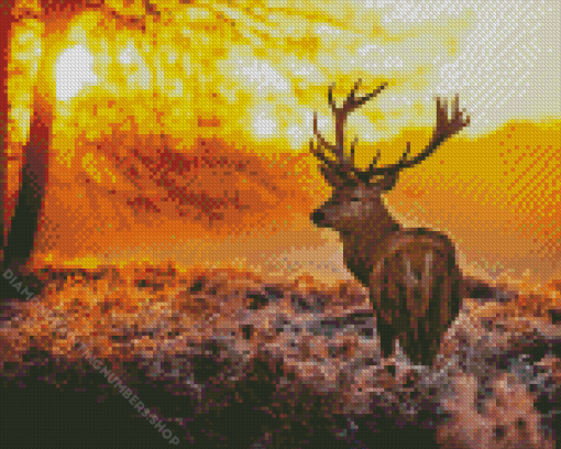 Highland Stag With Sunset Diamond Painting