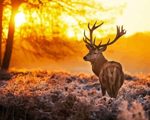 Highland Stag With Sunset Diamond Painting