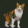 Japanese Bobtail Cat Animal Diamond Painting