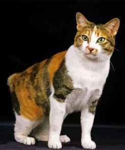 Japanese Bobtail Cat Animal Diamond Painting