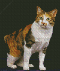 Japanese Bobtail Cat Animal Diamond Painting