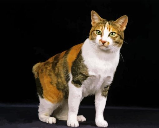 Japanese Bobtail Cat Animal Diamond Painting