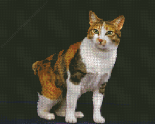 Japanese Bobtail Cat Animal Diamond Painting