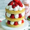 Japanese Strawberry Shortcake Diamond Painting