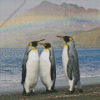 King Penguins With Rainbow Landscape Diamond Painting