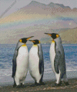 King Penguins With Rainbow Landscape Diamond Painting