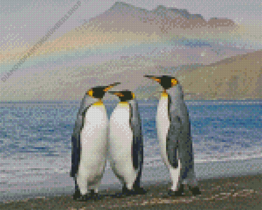 King Penguins With Rainbow Landscape Diamond Painting