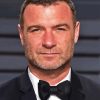 Liev Schreiber American Director Diamond Painting