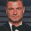 Liev Schreiber American Director Diamond Painting