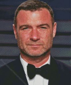 Liev Schreiber American Director Diamond Painting