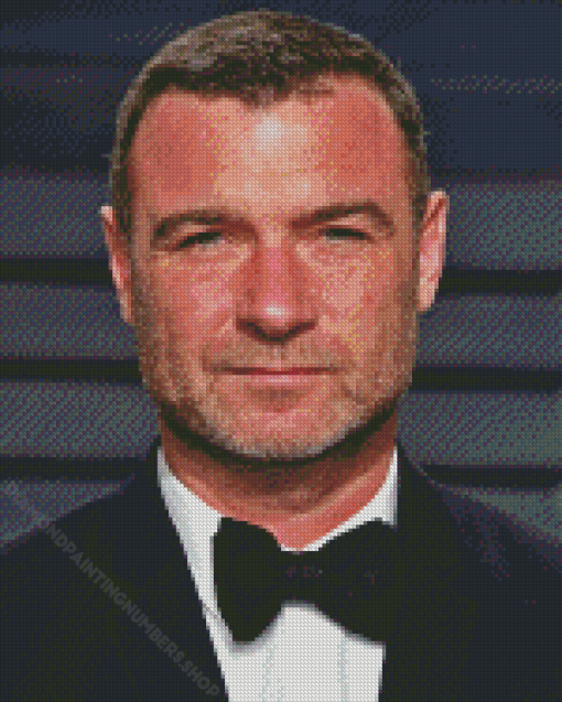 Liev Schreiber American Director Diamond Painting