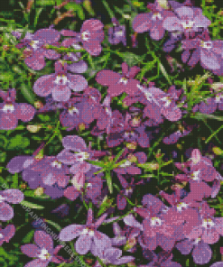 Lobelia Diamond Painting