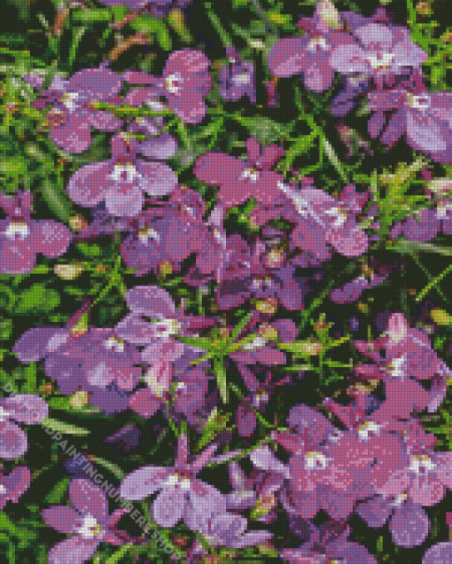 Lobelia Diamond Painting