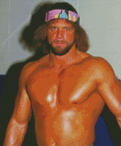 Macho Man Wrestler Diamond Painting