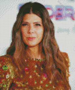 Marisa Tomei Actress Diamond Painting