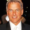 Mark Harmon Actor Diamond Painting