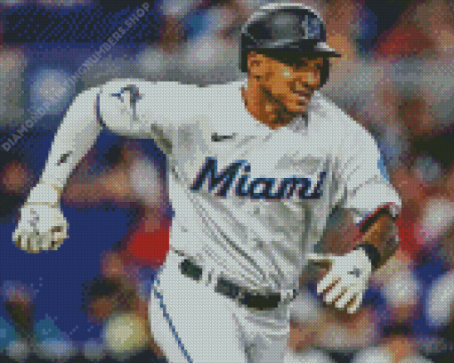 MiASi Marlins Baseballer Diamond Painting