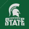 Michigan State Football Logo Diamond Painting