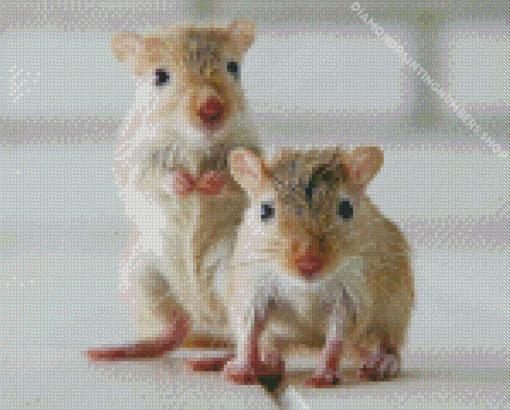 Mongolian Gerbil Animals Diamond Painting