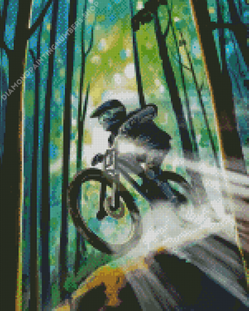 Mountain Biking Diamond Painting