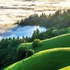 Mt Tamalpais Diamond Painting