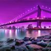 New York Purple Night Diamond Painting