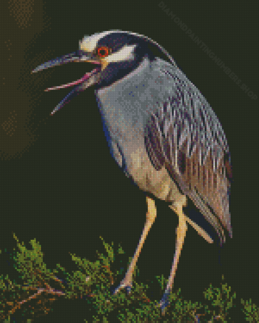 Night Heron On Tree Diamond Painting