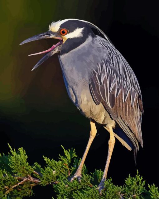 Night Heron On Tree Diamond Painting