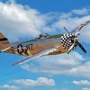 P47 Thunderbolt Diamond Painting