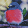 Pink Robin Bird Diamond Painting