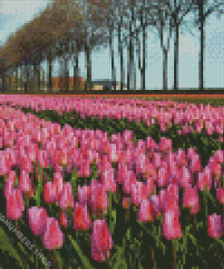 Pink Field Diamond Painting